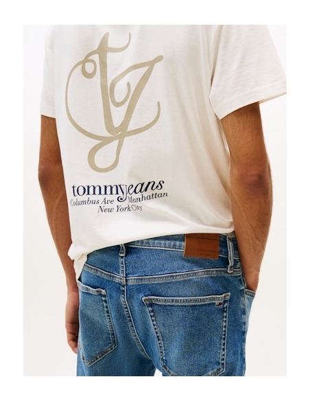 Spodnie jeans DM0DM21353 1A5 Tommy Hilfiger