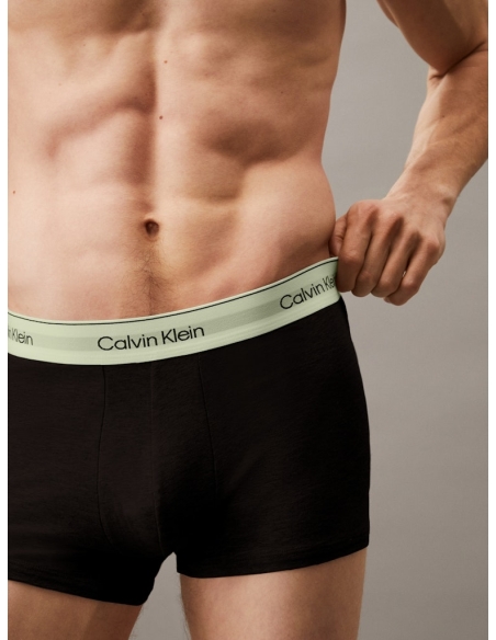 Bielizna LV00NB4392 VRB Calvin Klein UDW