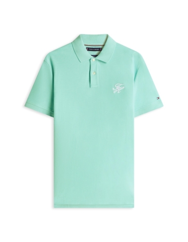 Męskie polo Tommy Hilfiger
