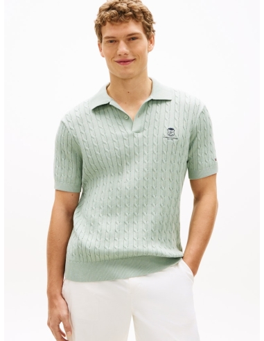 Męskie polo Tommy Hilfiger