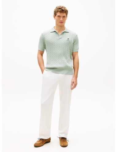 Męskie polo Tommy Hilfiger