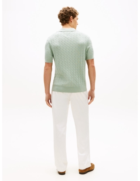 Męskie polo Tommy Hilfiger