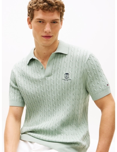Męskie polo Tommy Hilfiger